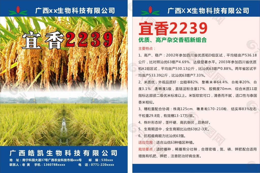 蓝色绿色简约农业水稻种子宣传单