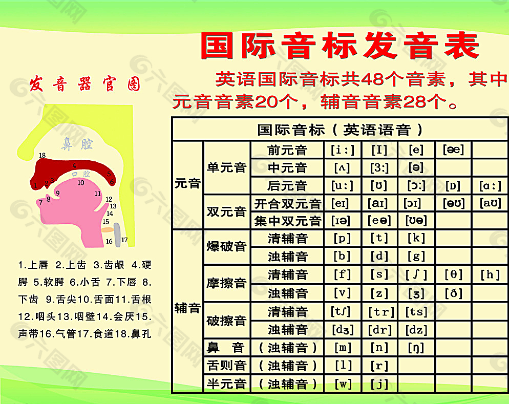 国际音标发音表图片