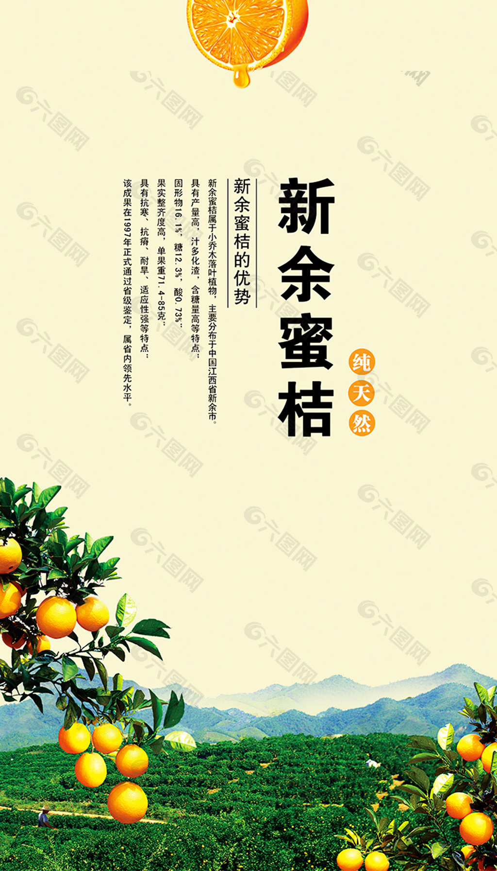 蜜桔水果海报素材平面广告素材免费下载(图片编号:6188756)