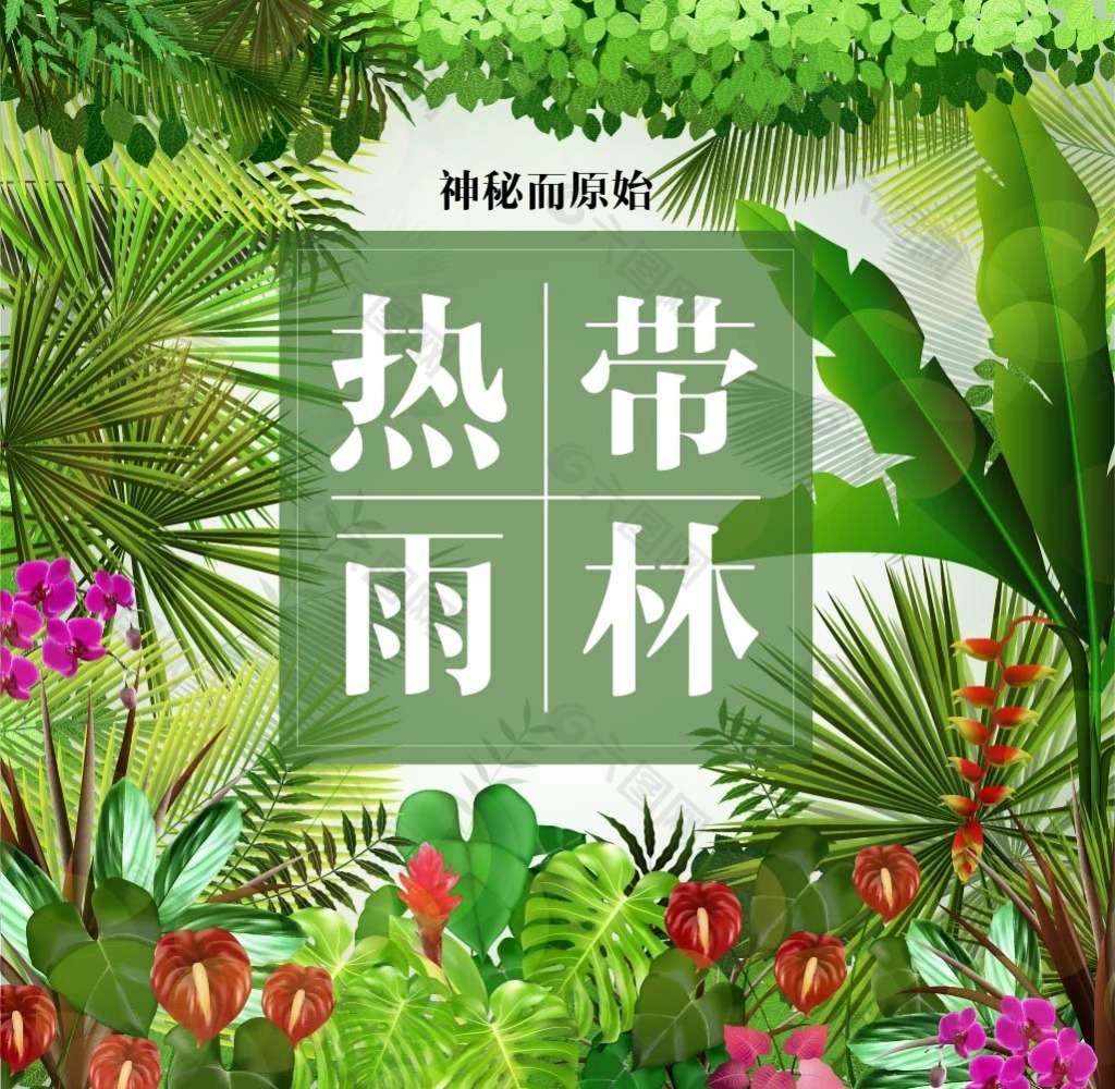 热带植物海报素材