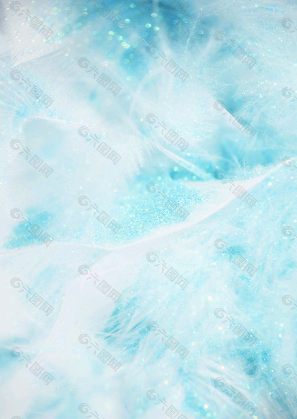 蓝白色背景羽毛素材背景素材免费下载 图片编号 六图网