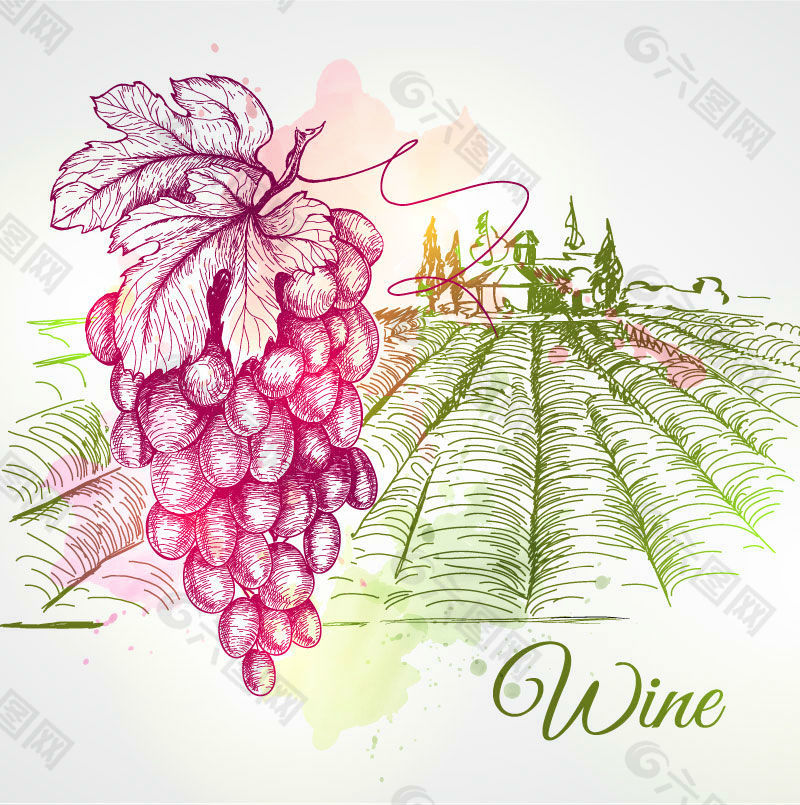 手绘葡萄酒庄园和葡萄矢量素材