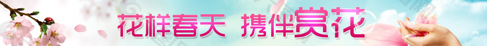 赏花banner 春天 赏花