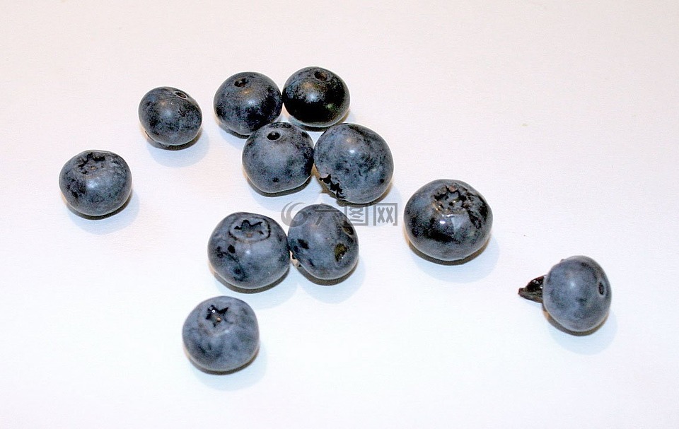 蓝莓,黑色浆果,野生浆果