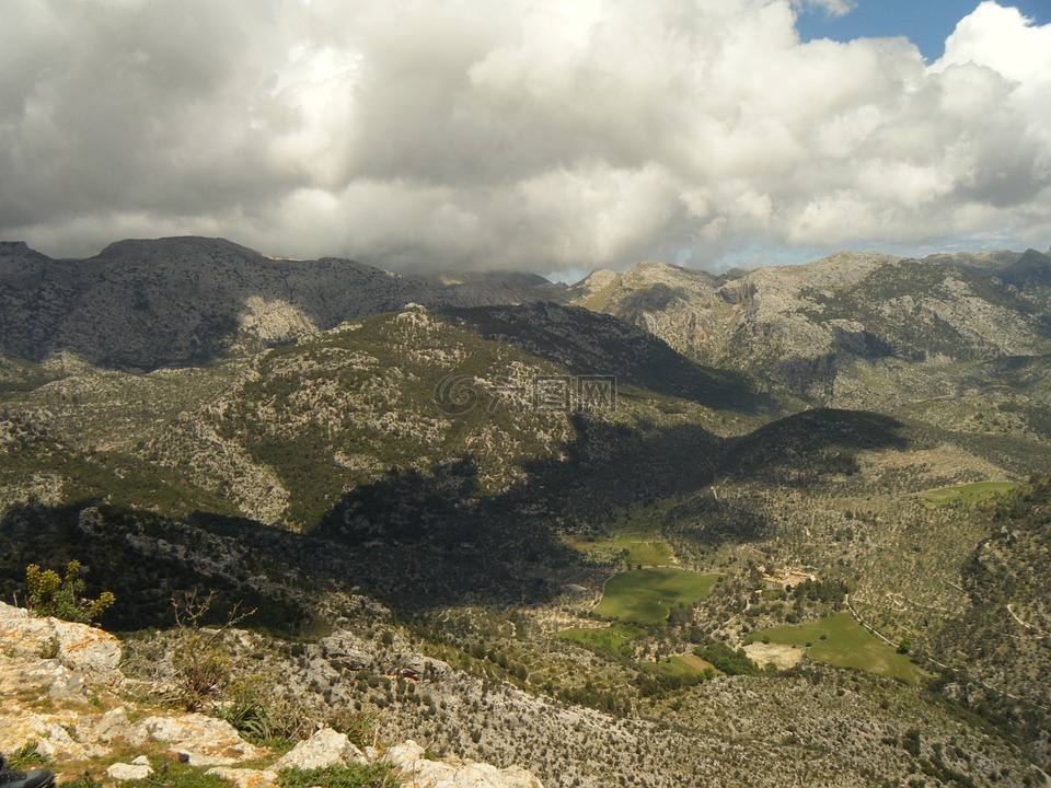 马略卡,山,树