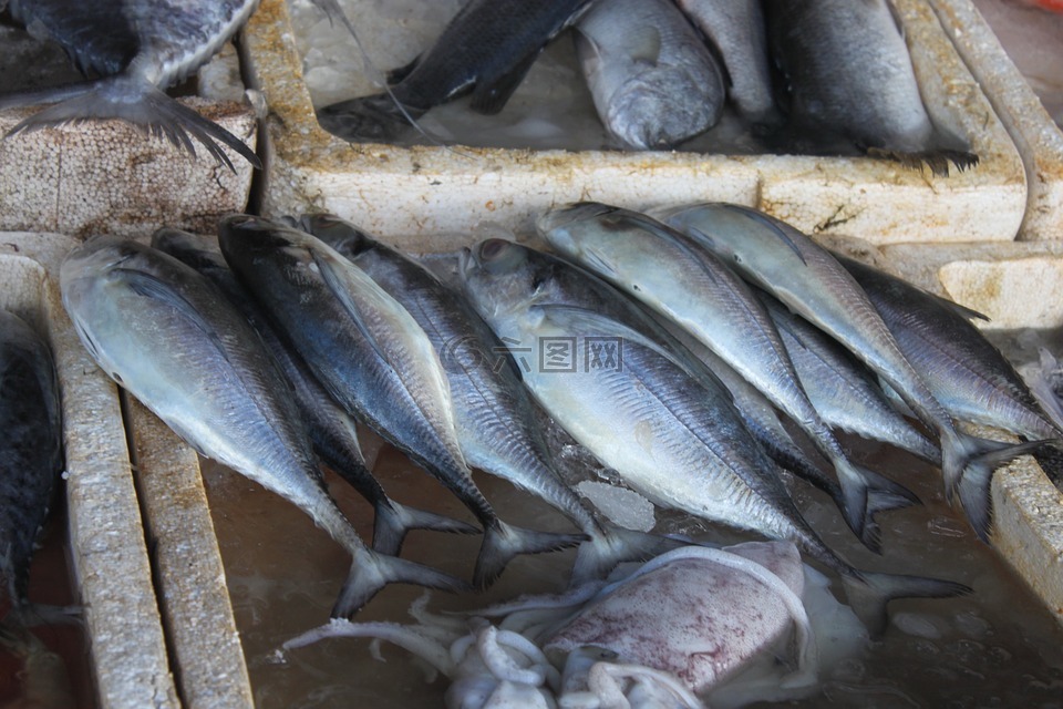 鱼,泰国,市场