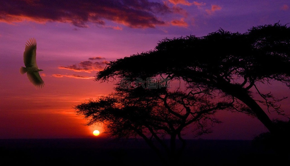 风景,日落,非洲