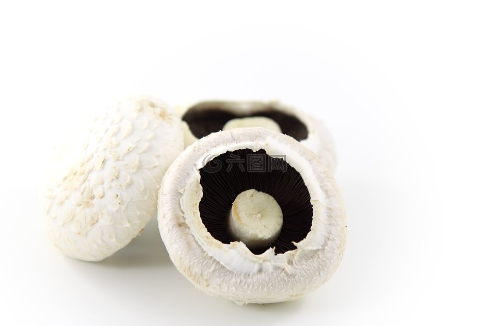 蘑菇,食品,白