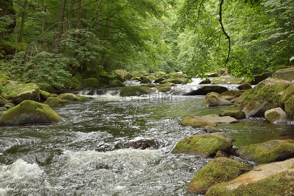 博德,河,水