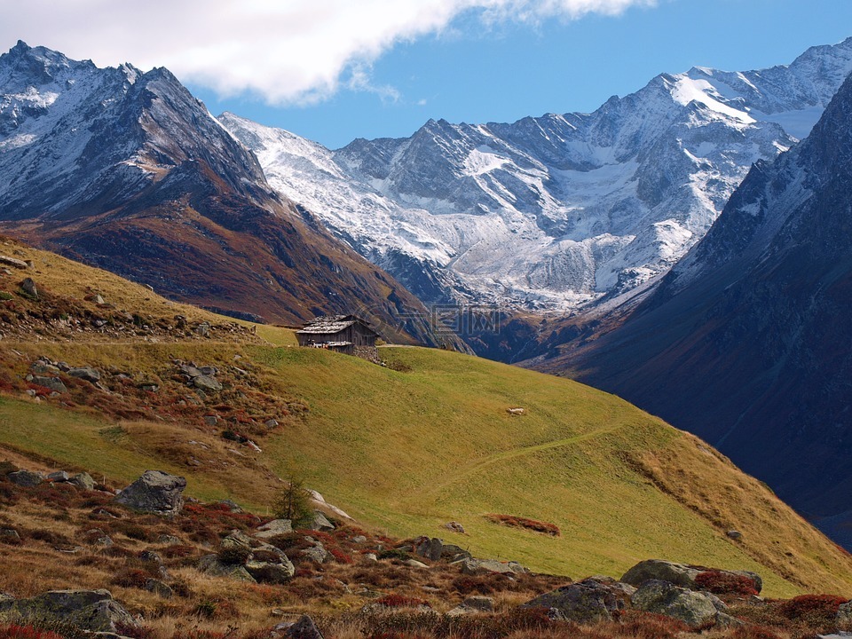 全景图,山,高山牧场