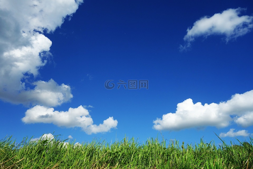 天空,云,草