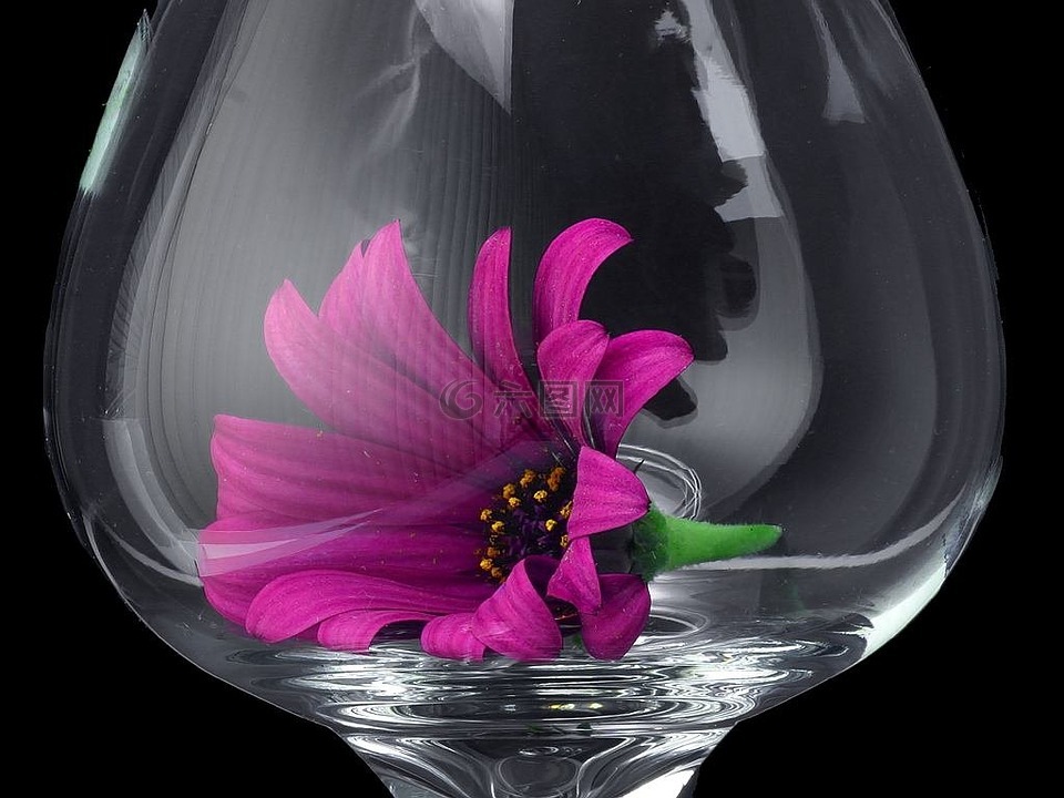 雏菊,玻璃,花