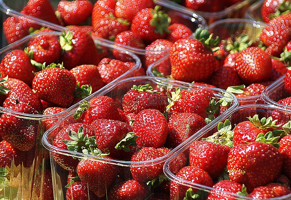 草莓,水果,成熟