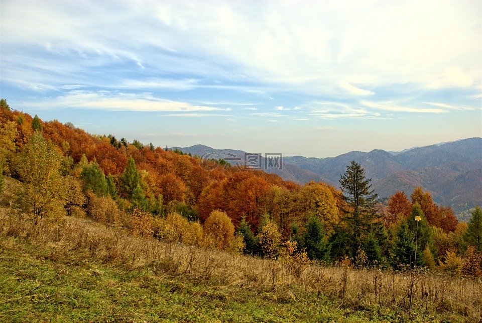 波兰,pieniny,秋