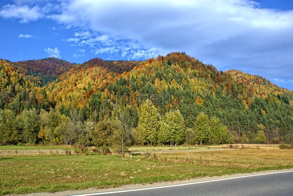 波兰,pieniny,秋