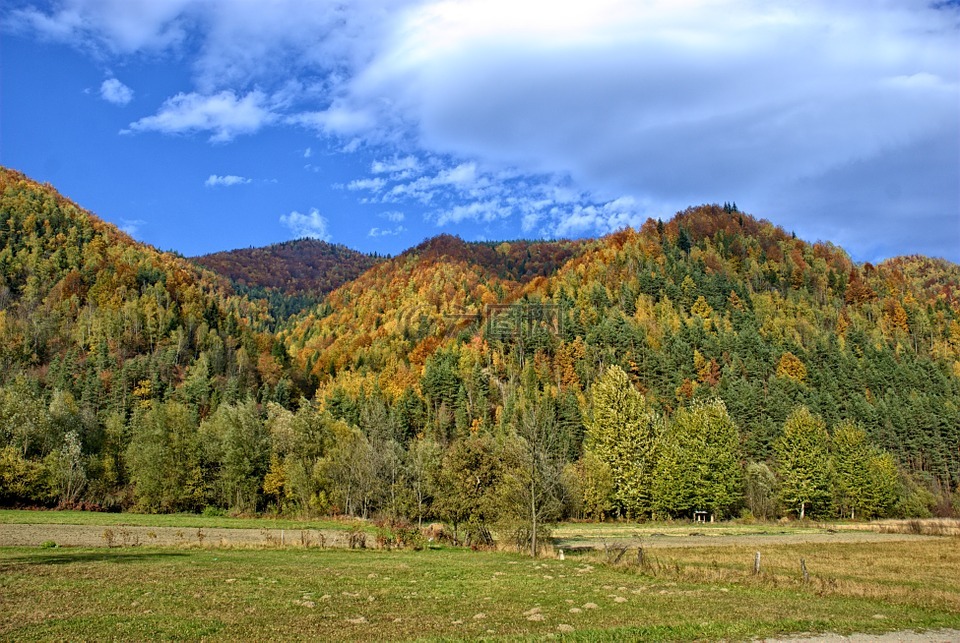 波兰,pieniny,秋