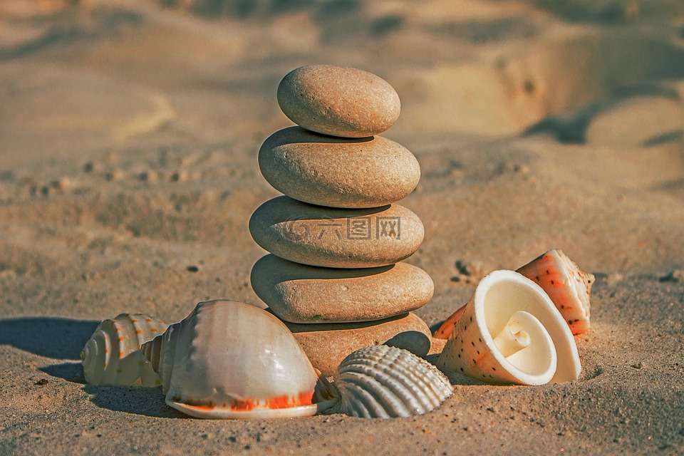 石头,沙海滩,海贝壳