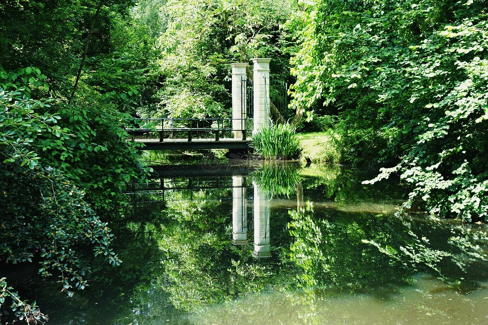 池,公园,桥