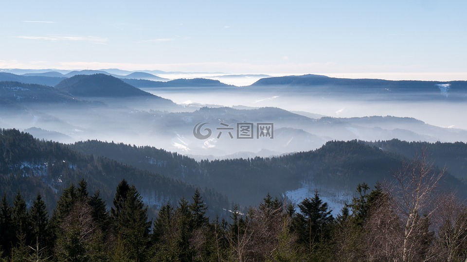 雾之海,nebellandschaft,黑色的森林