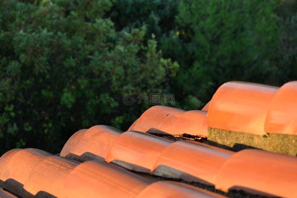 屋顶瓦片,南,瓷砖