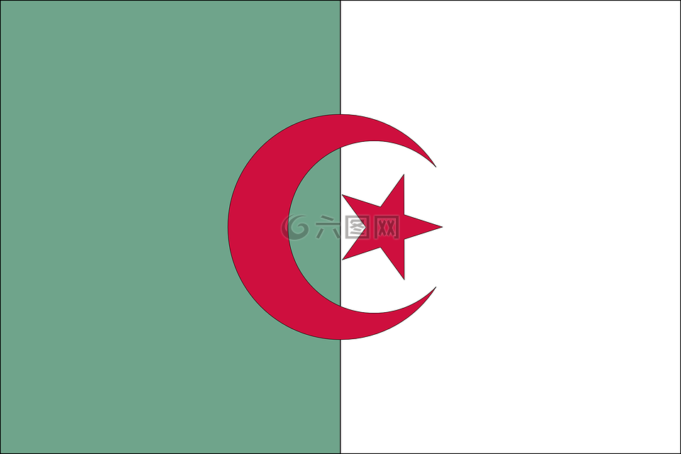 阿尔及利亚,向量,国家
