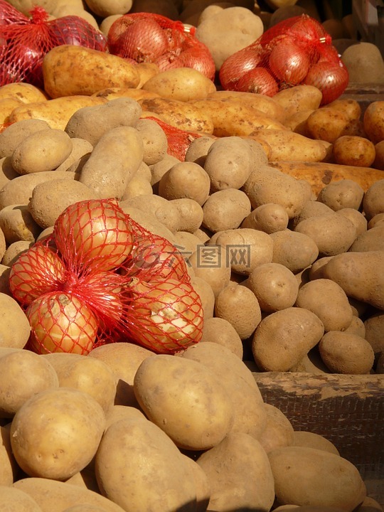 土豆,洋葱,蔬菜
