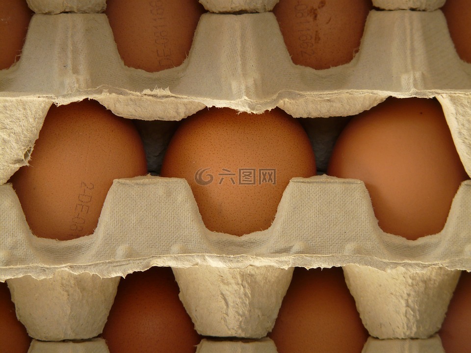 蛋,蛋盒,食品