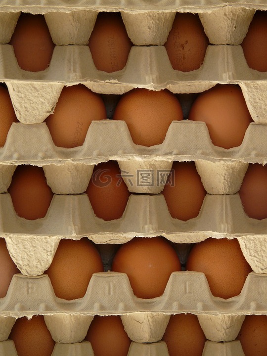 蛋,蛋盒,食品