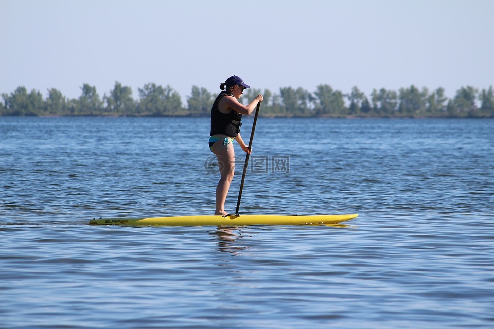 桨板,水,夏天