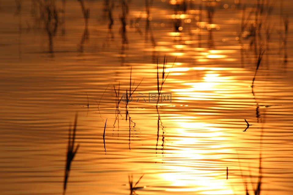 水,金,日落
