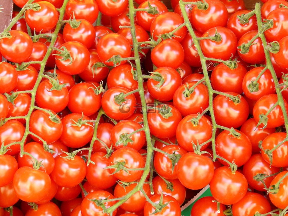 蕃茄,tomatenrispe,蔬菜