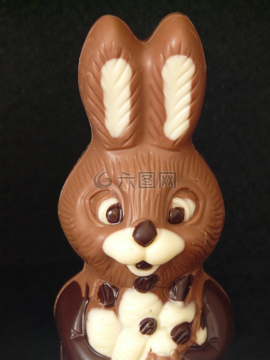 复活节兔子,复活节,巧克力