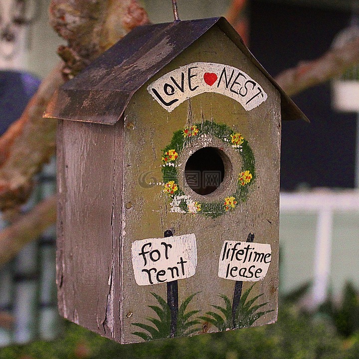 鸟的房子,爱,可爱