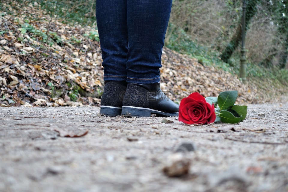红色玫瑰在地板上,爱,伤心的女孩