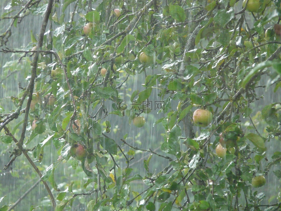 瓢泼大雨,暴雨,雨