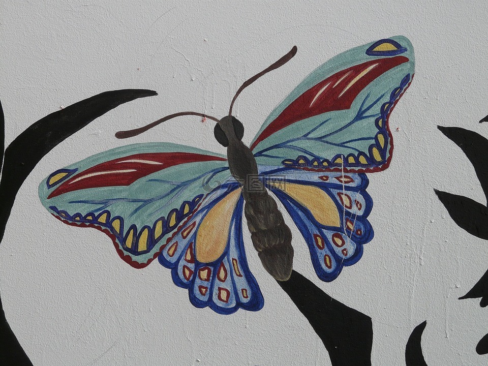 蝴蝶,动物,艺术