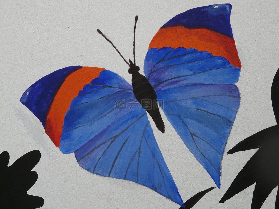 蝴蝶,动物,艺术