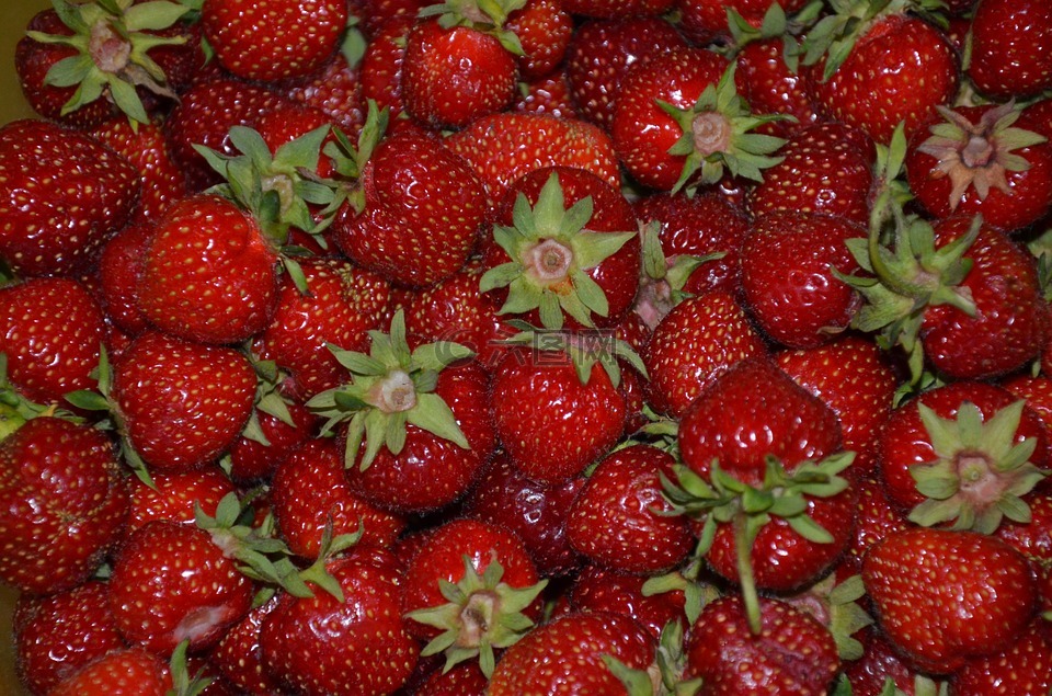 草莓,水果,甜