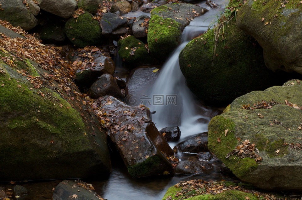 溪,水,石