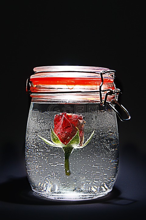 玫瑰,红色,jar