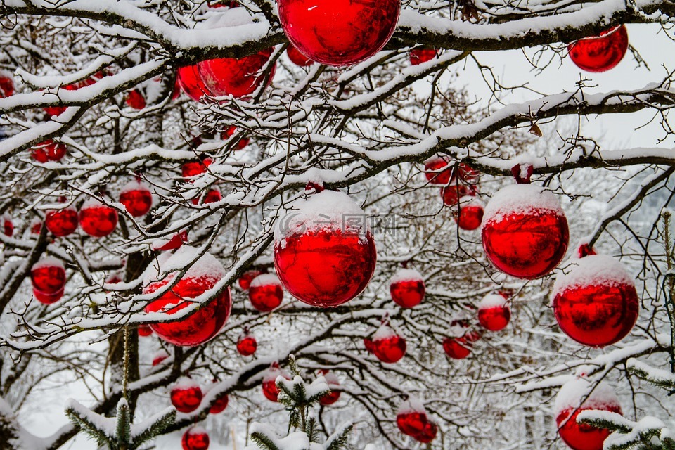 圣诞节,冬天,树