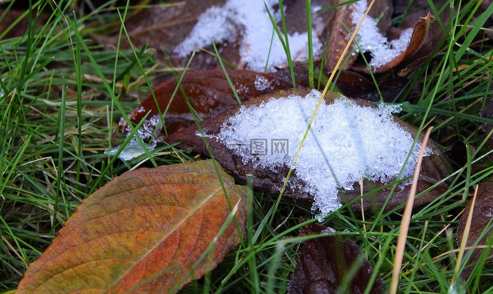 冬季,雪,第一场雪