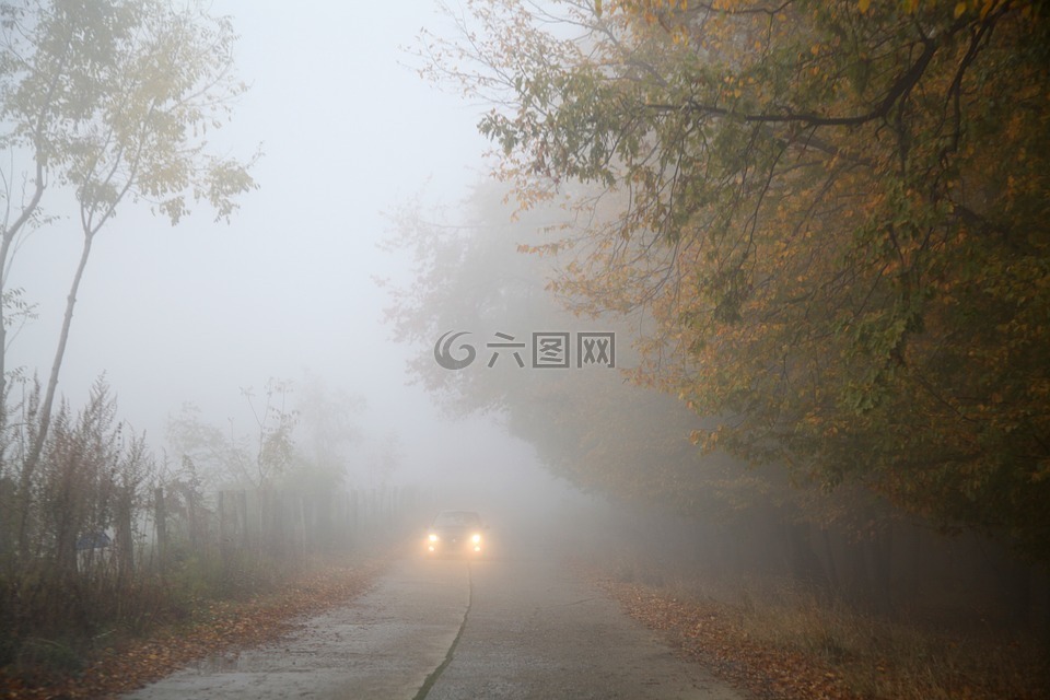 雾,秋,车