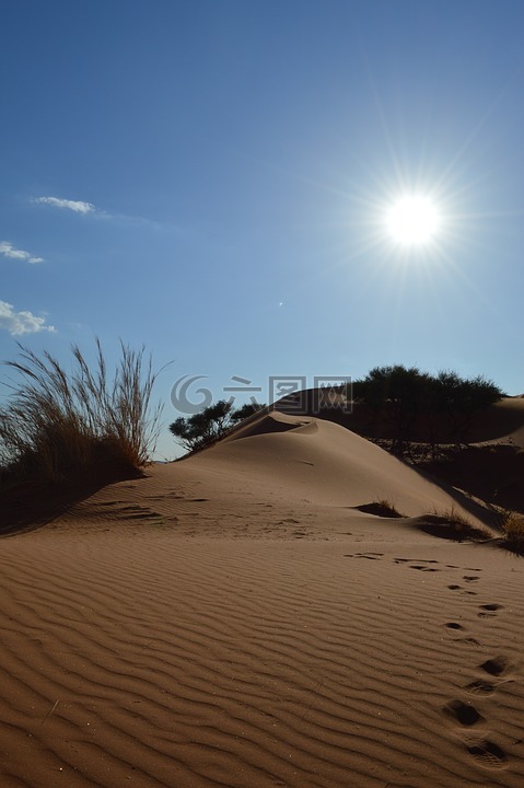 沙漠,在沙子里的曲目,非洲