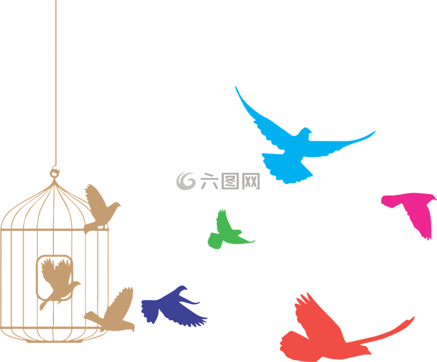 鸟,笼子里,自由