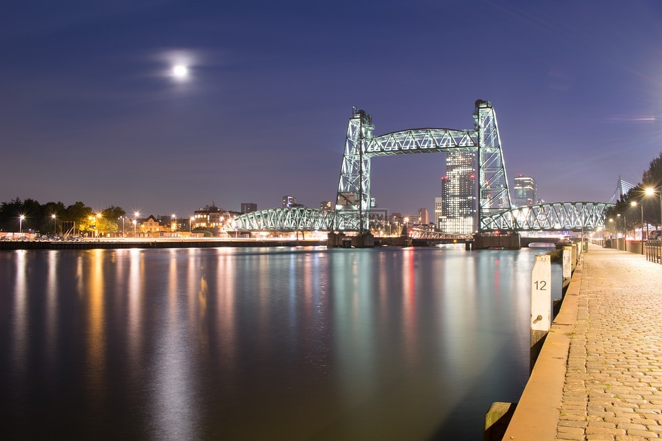 鹿特丹,荷兰,桥