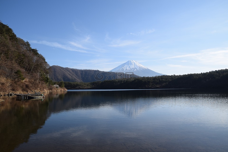 富士山,湖,景区
