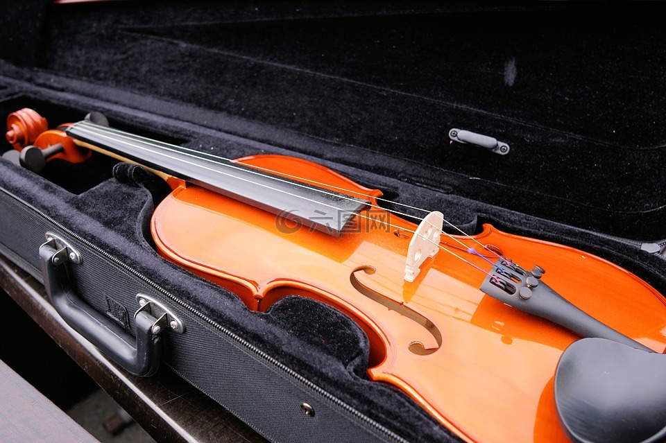 小提琴,弦乐器,仪器