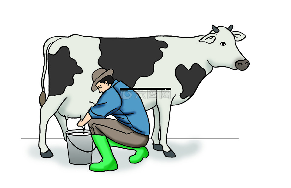 牛,挤奶,乳制品