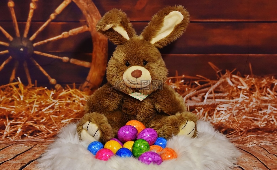 复活节兔子,蛋,彩色